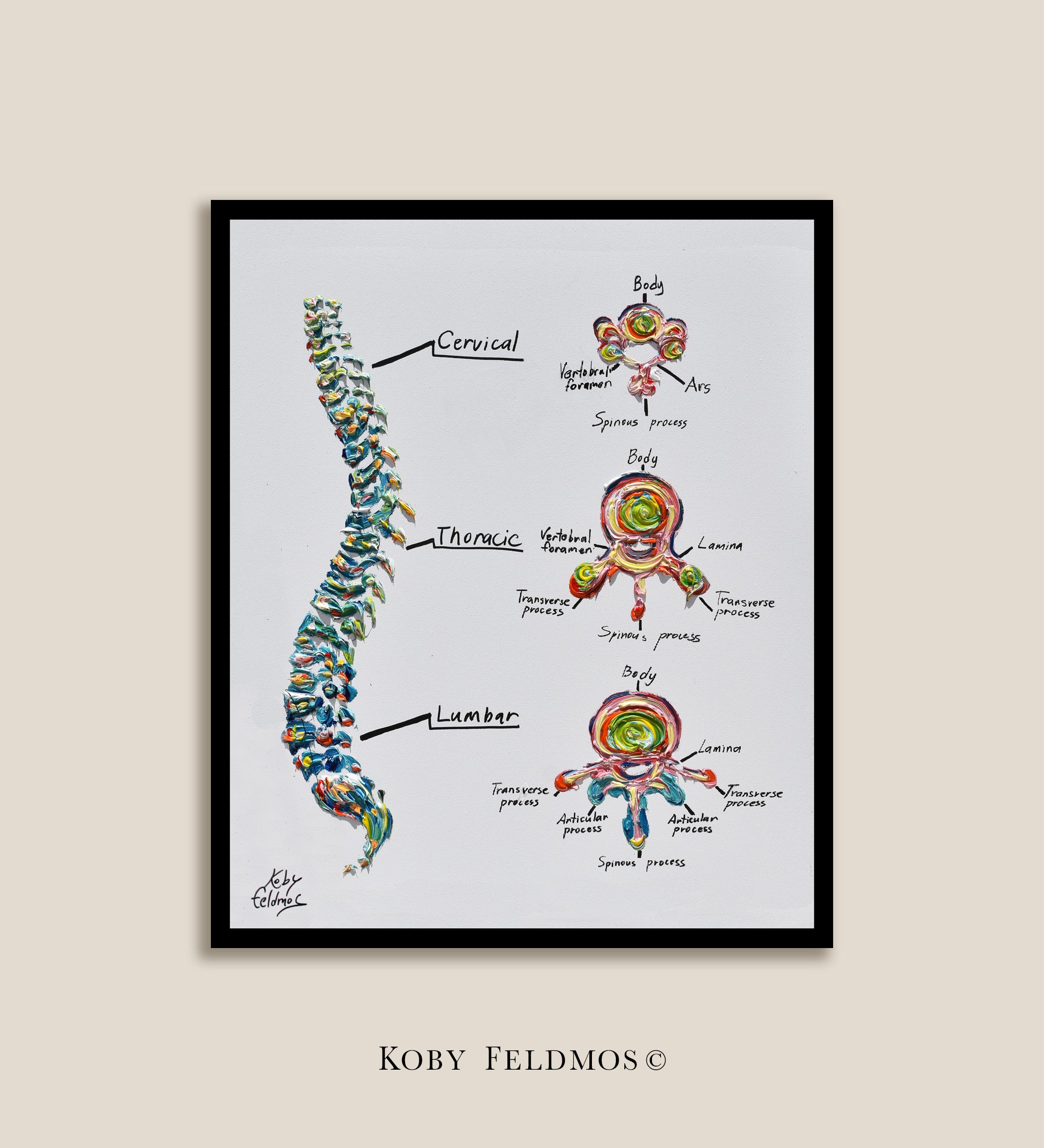 Spine Anatomy (diagram) 40