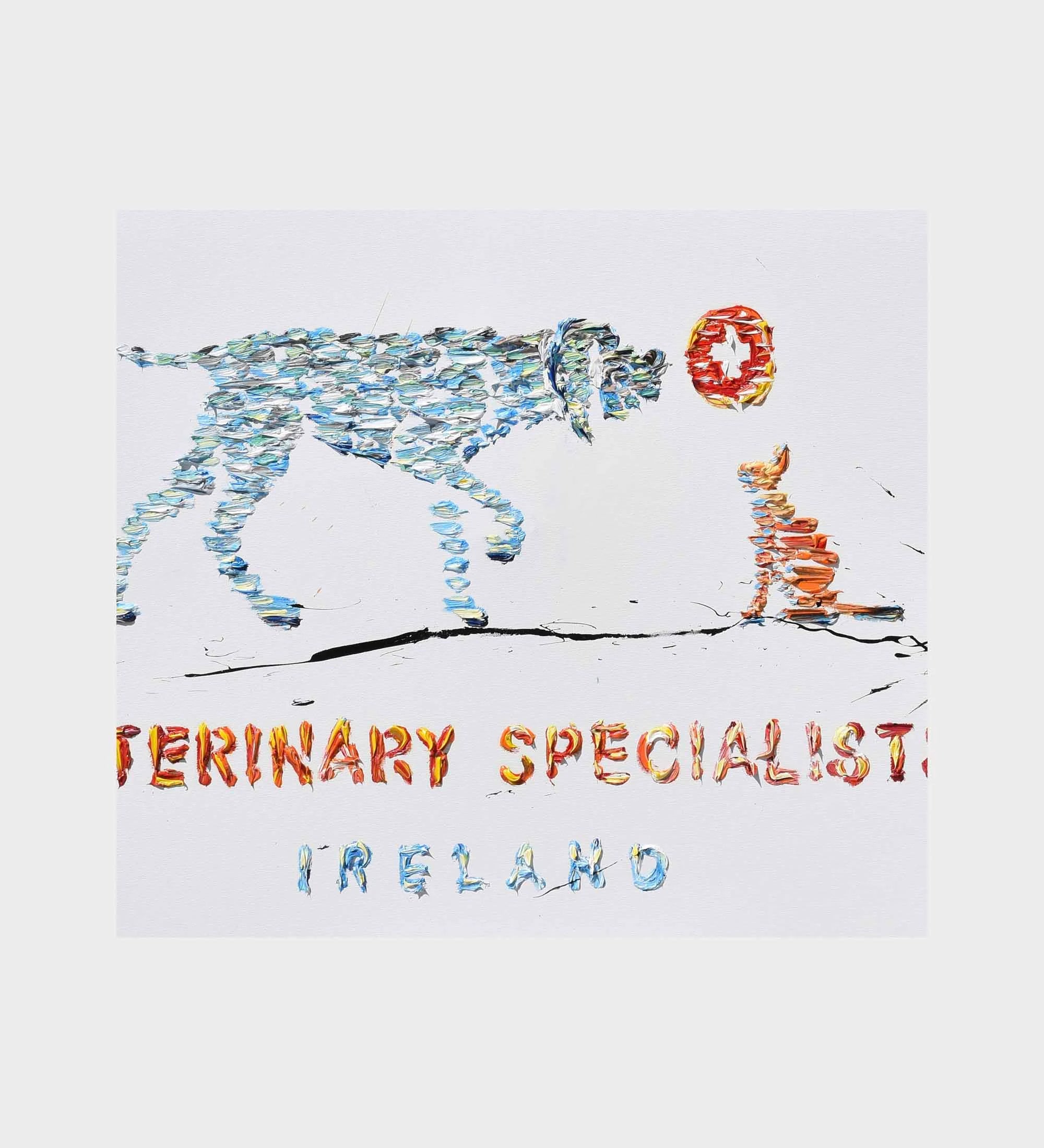 Veterinary specialists, Ireland 40