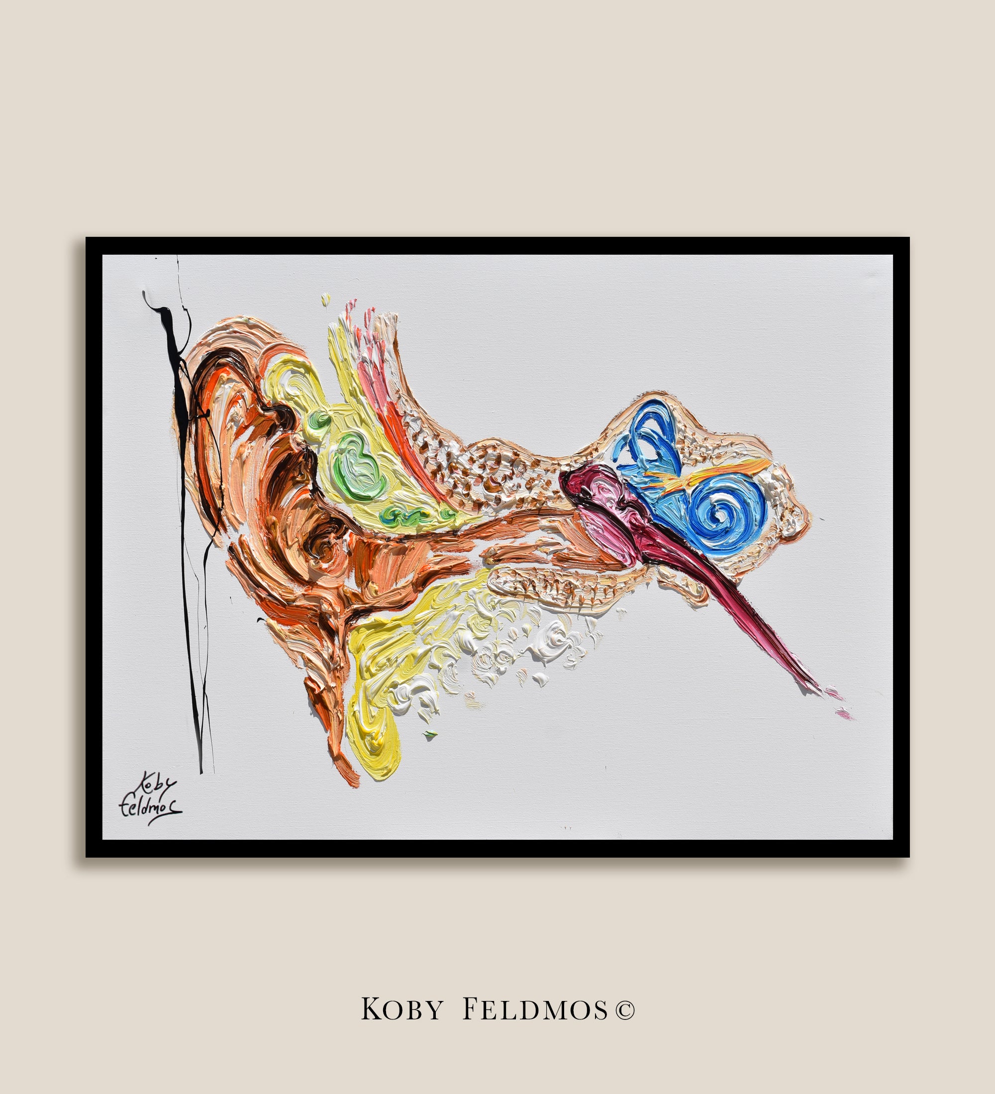 Ear Anatomy  40