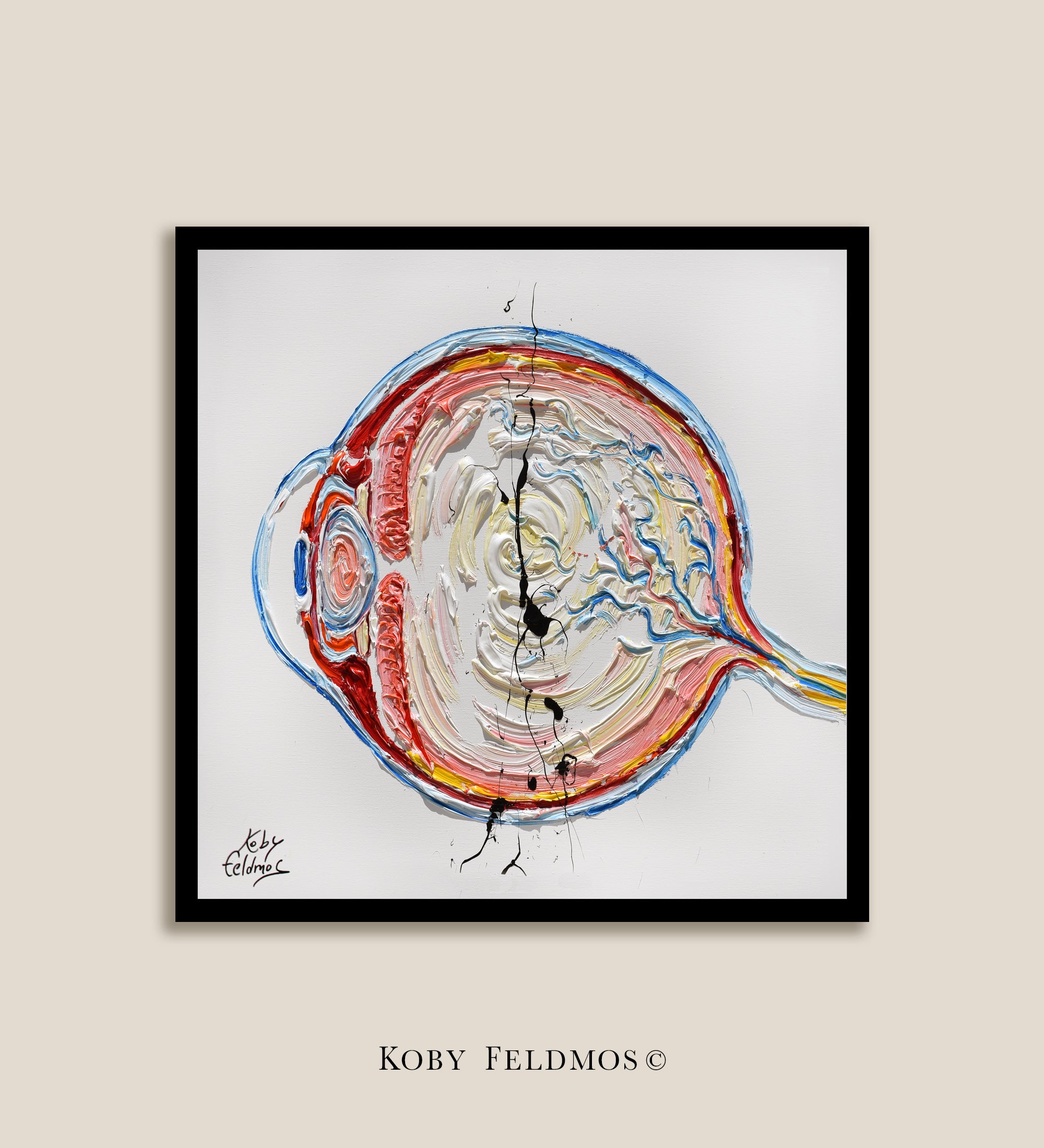 Eye Anatomy (cross-sectional) 35