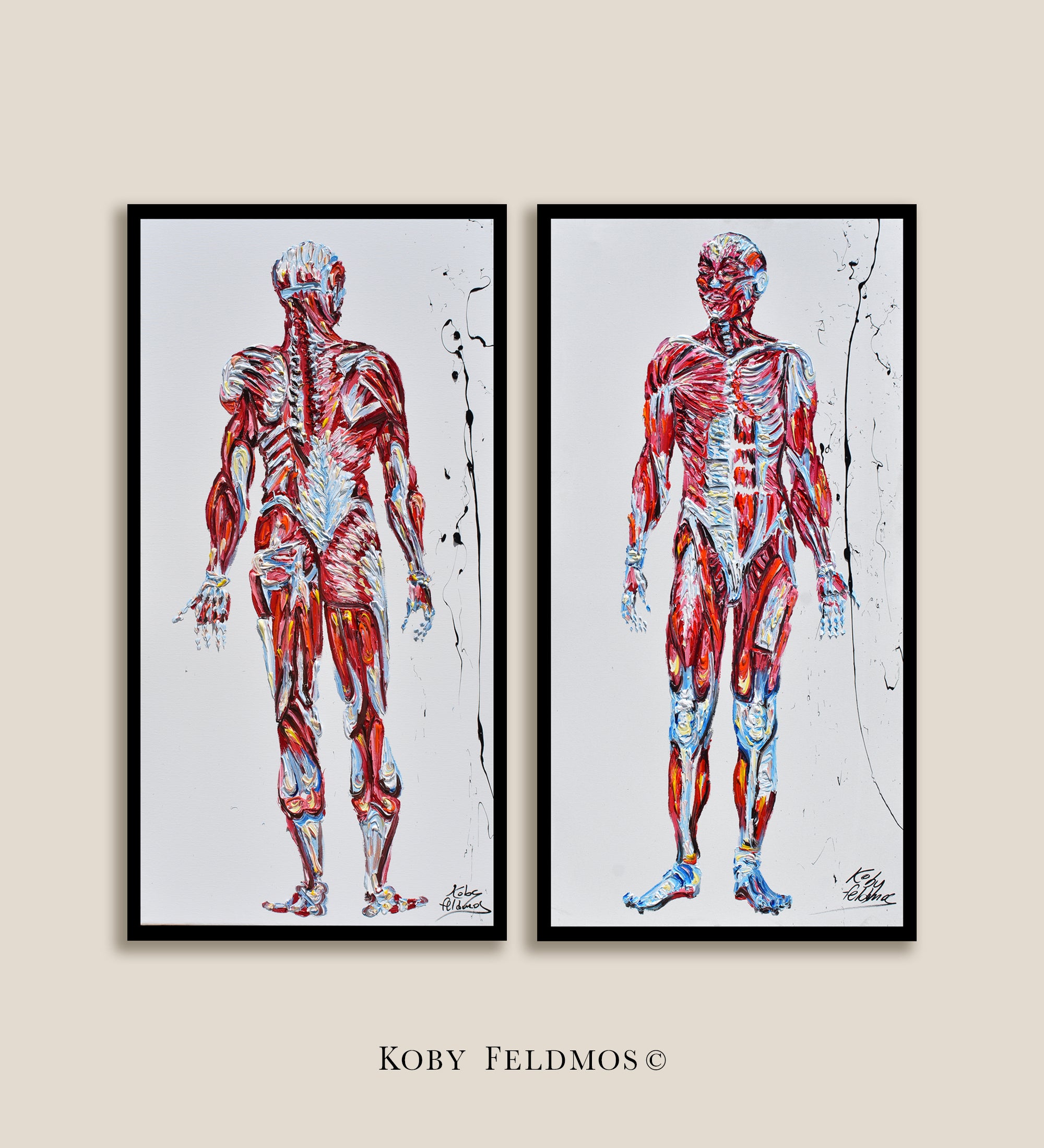 Human Body Anatomy 48