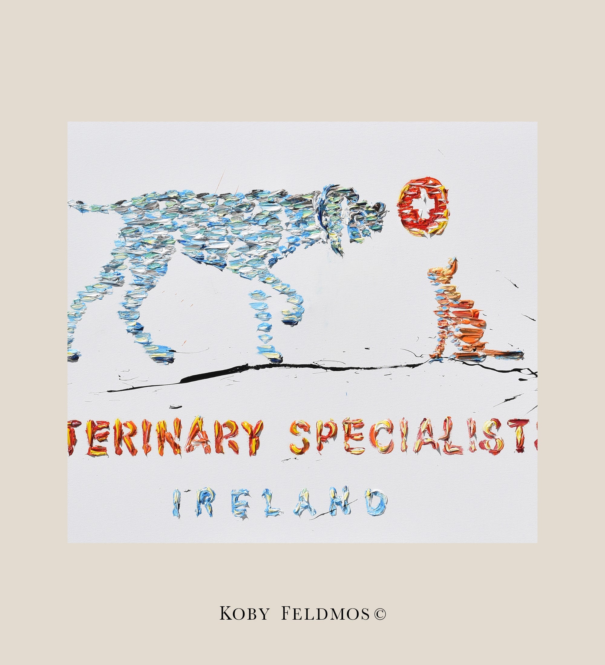 Veterinary specialists, Ireland 40