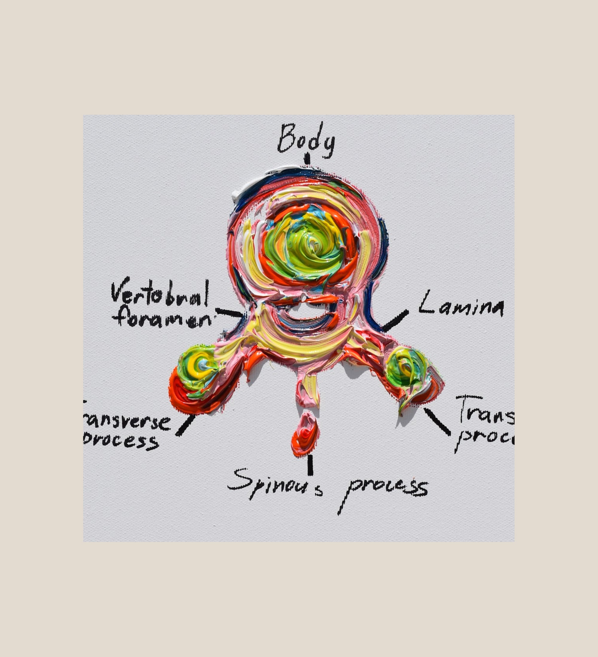 Spine Anatomy (diagram) 40