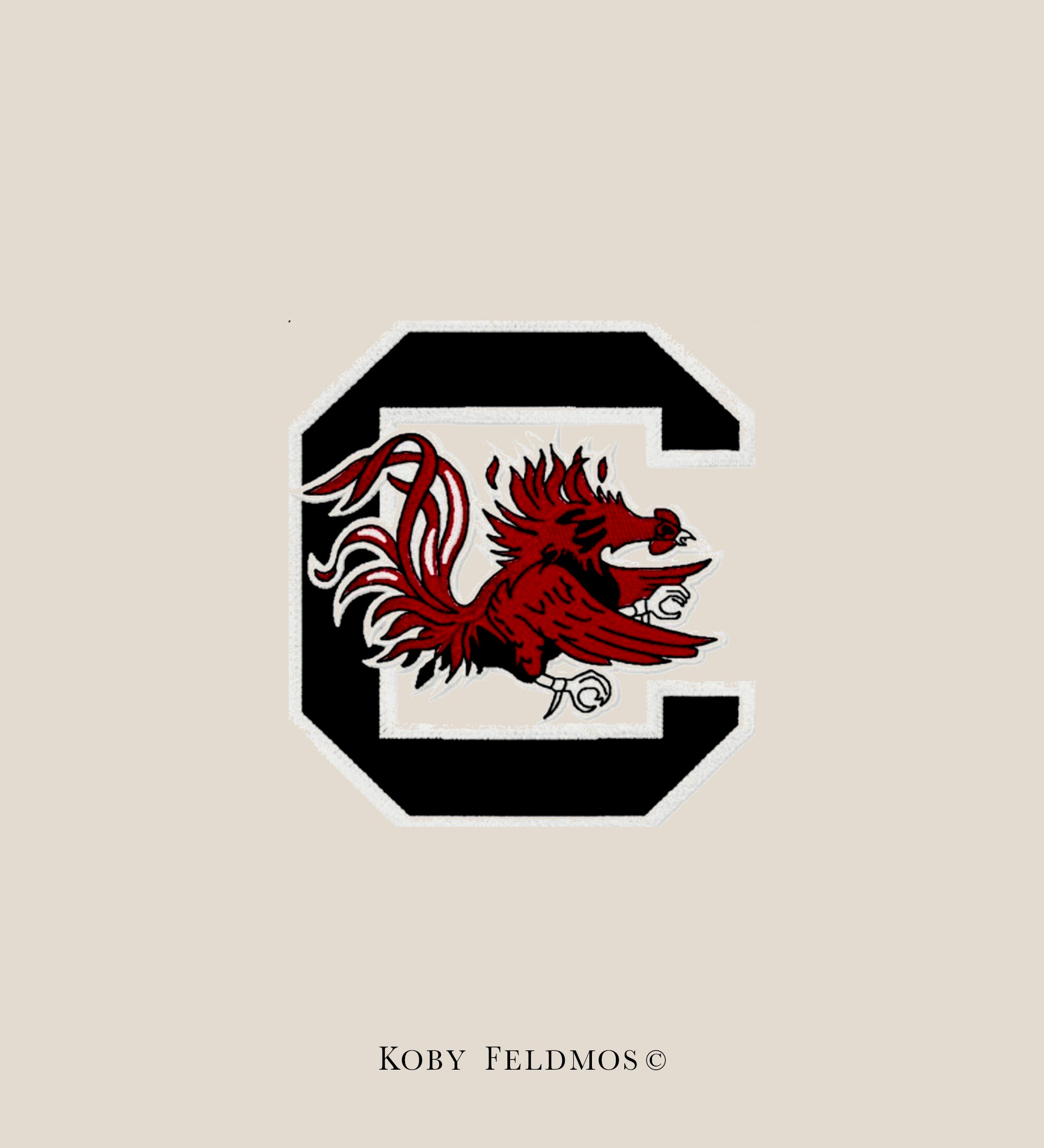 South Carolina Gamecocks, Sports Team 35