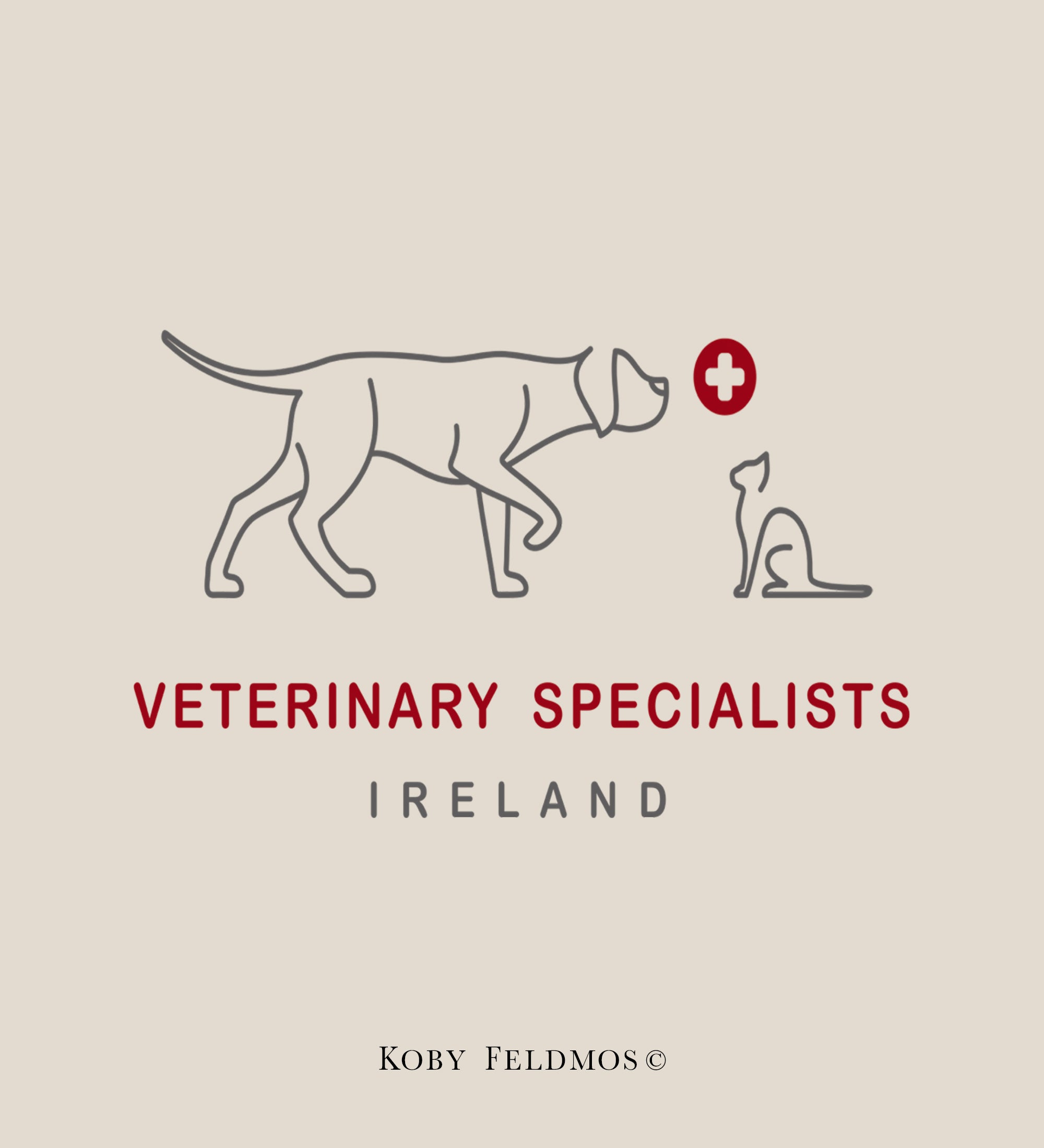 Veterinary specialists, Ireland 40