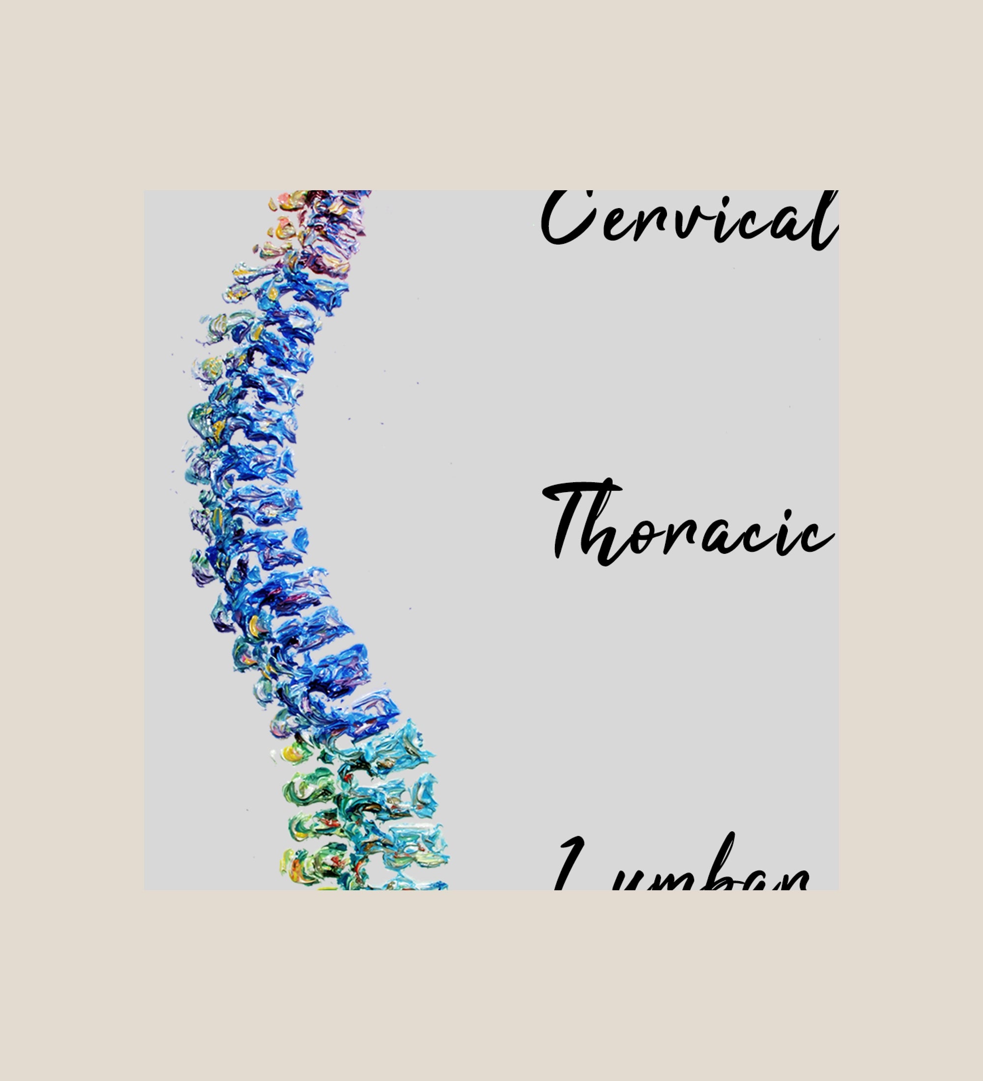 Spine Surgeon (with diagram) 67