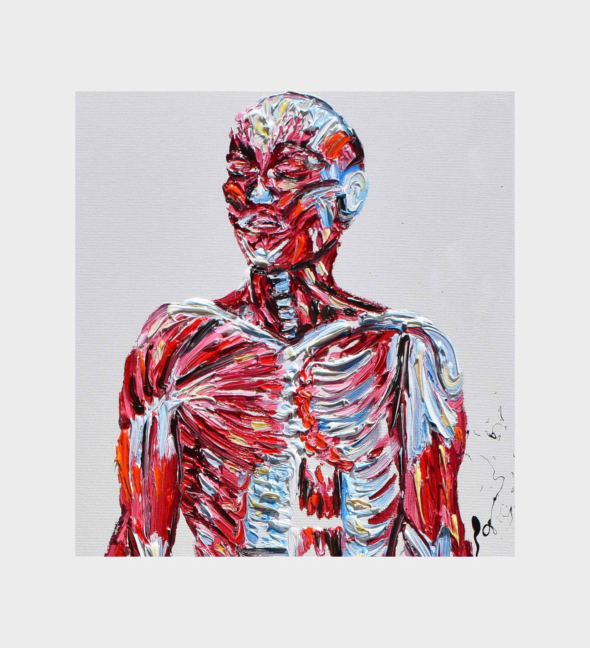 Human Body Anatomy 48