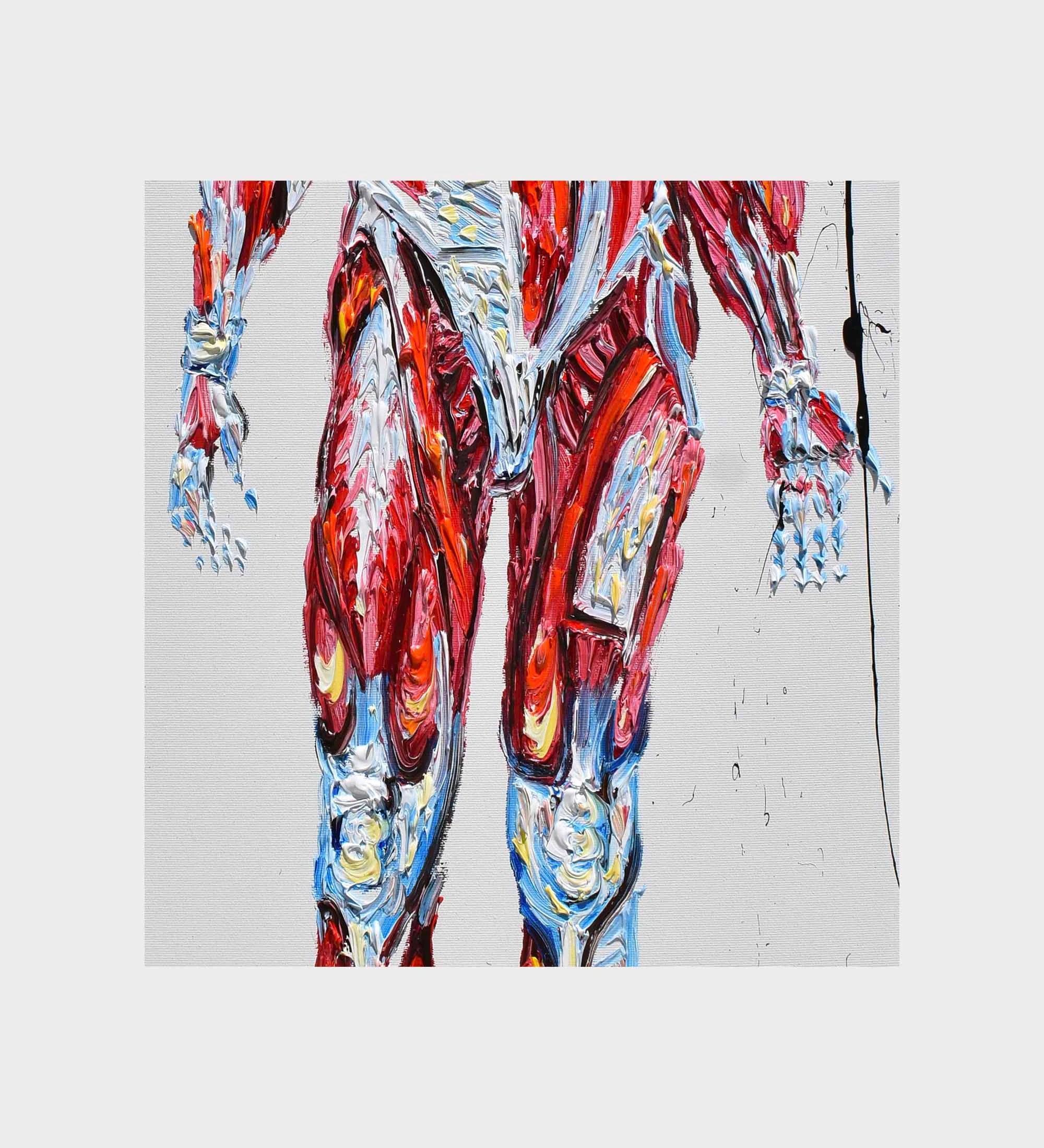 Human Body Anatomy 48