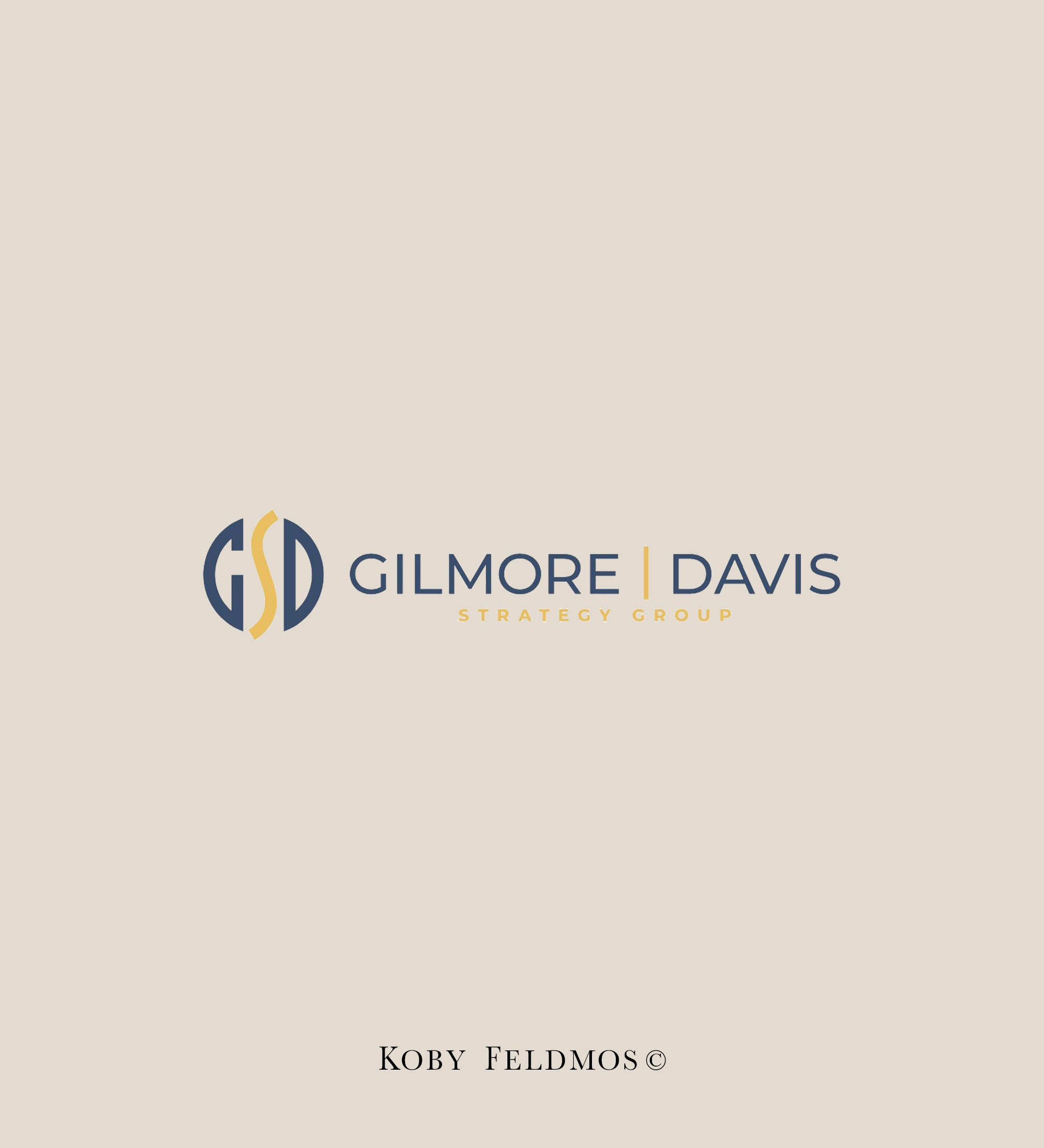 Gilmore Strategy Group, Business Consulting 55