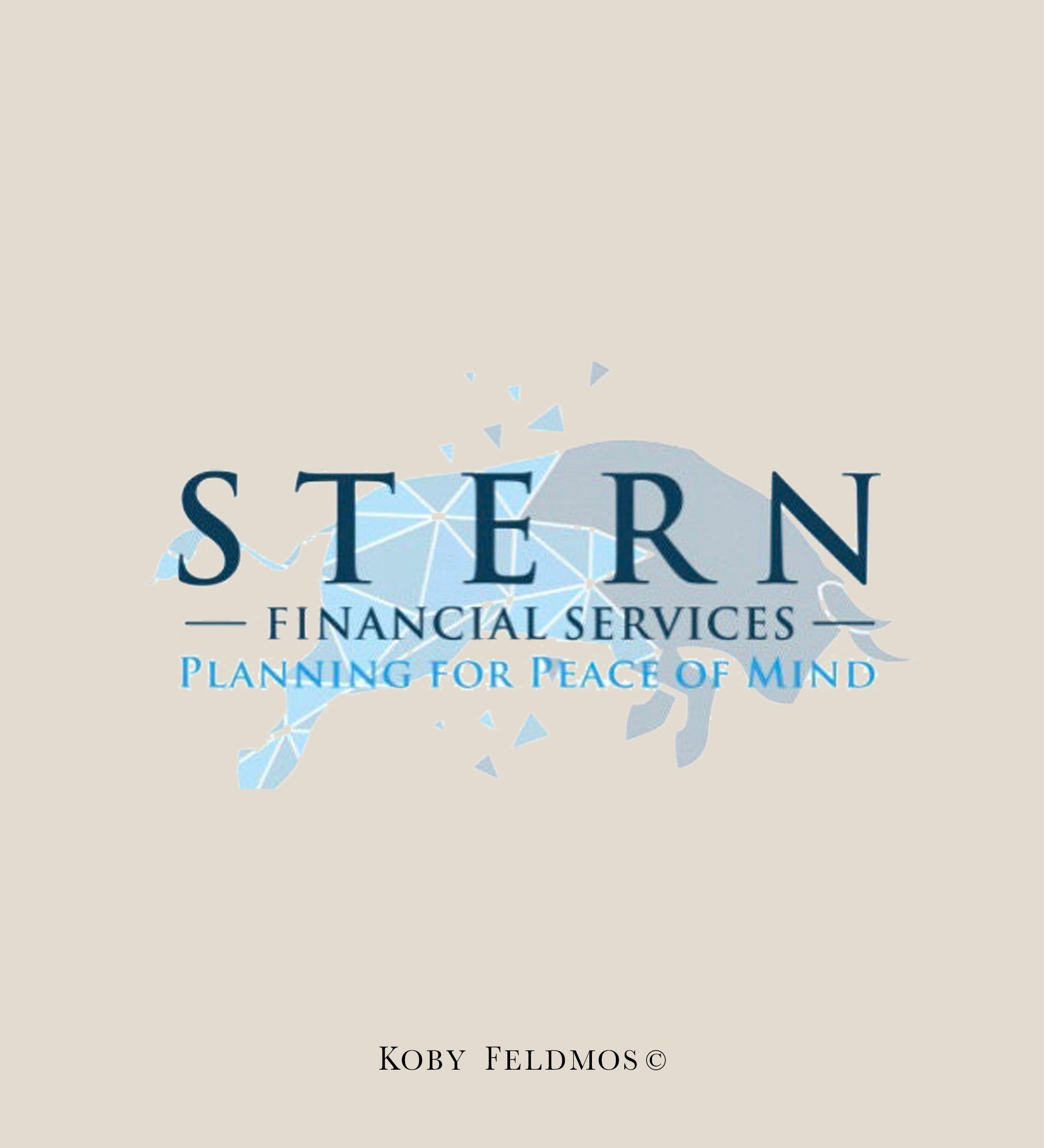 Stern, Finance services 67