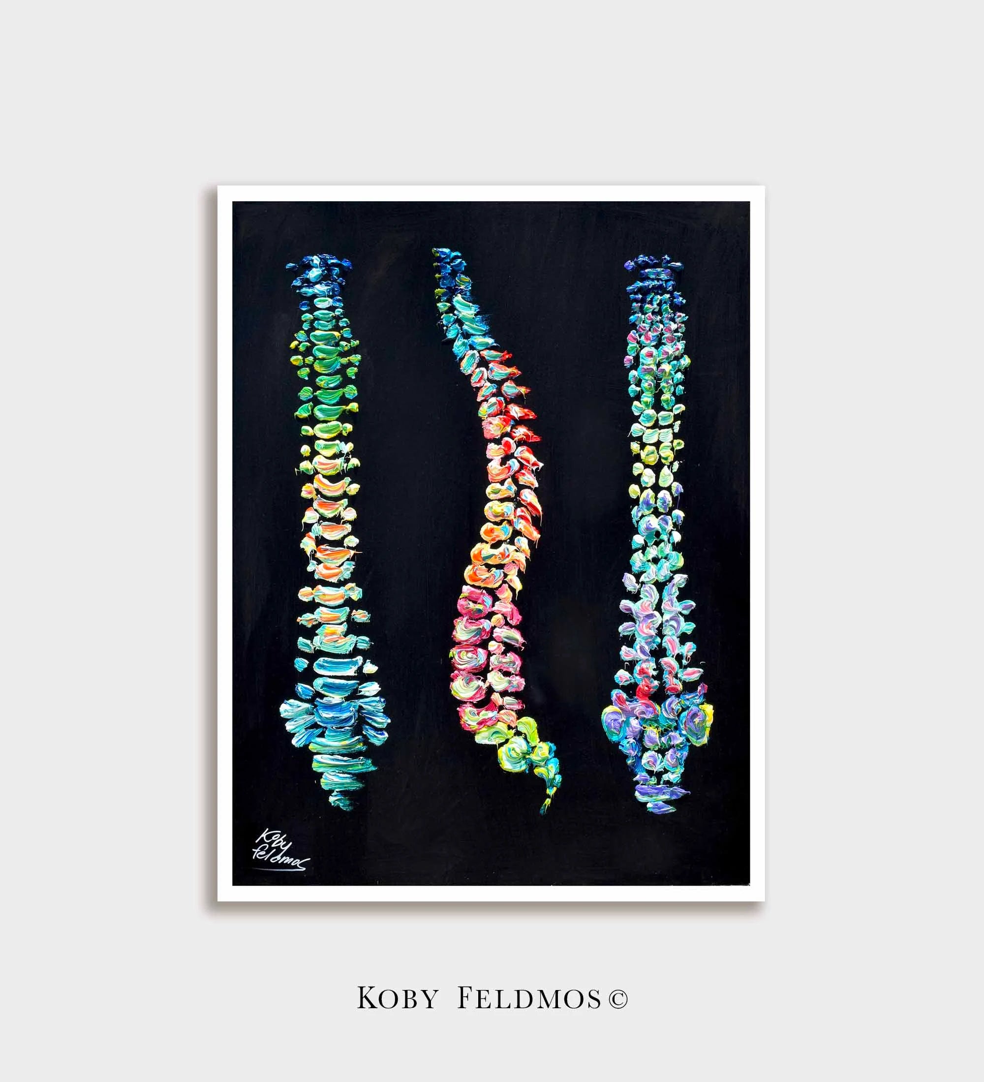 Spine Anatomy (Black BG) 40