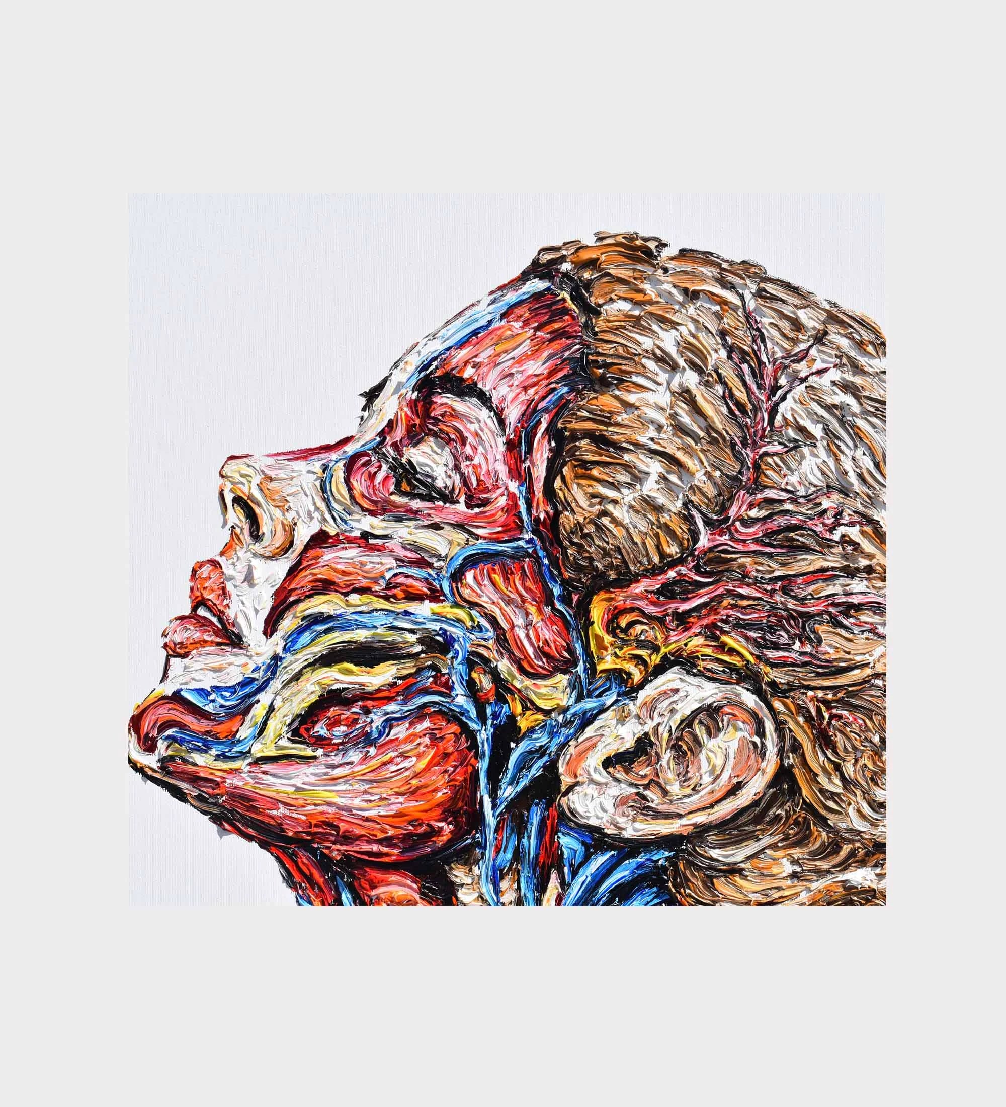 Vascular System Head 40