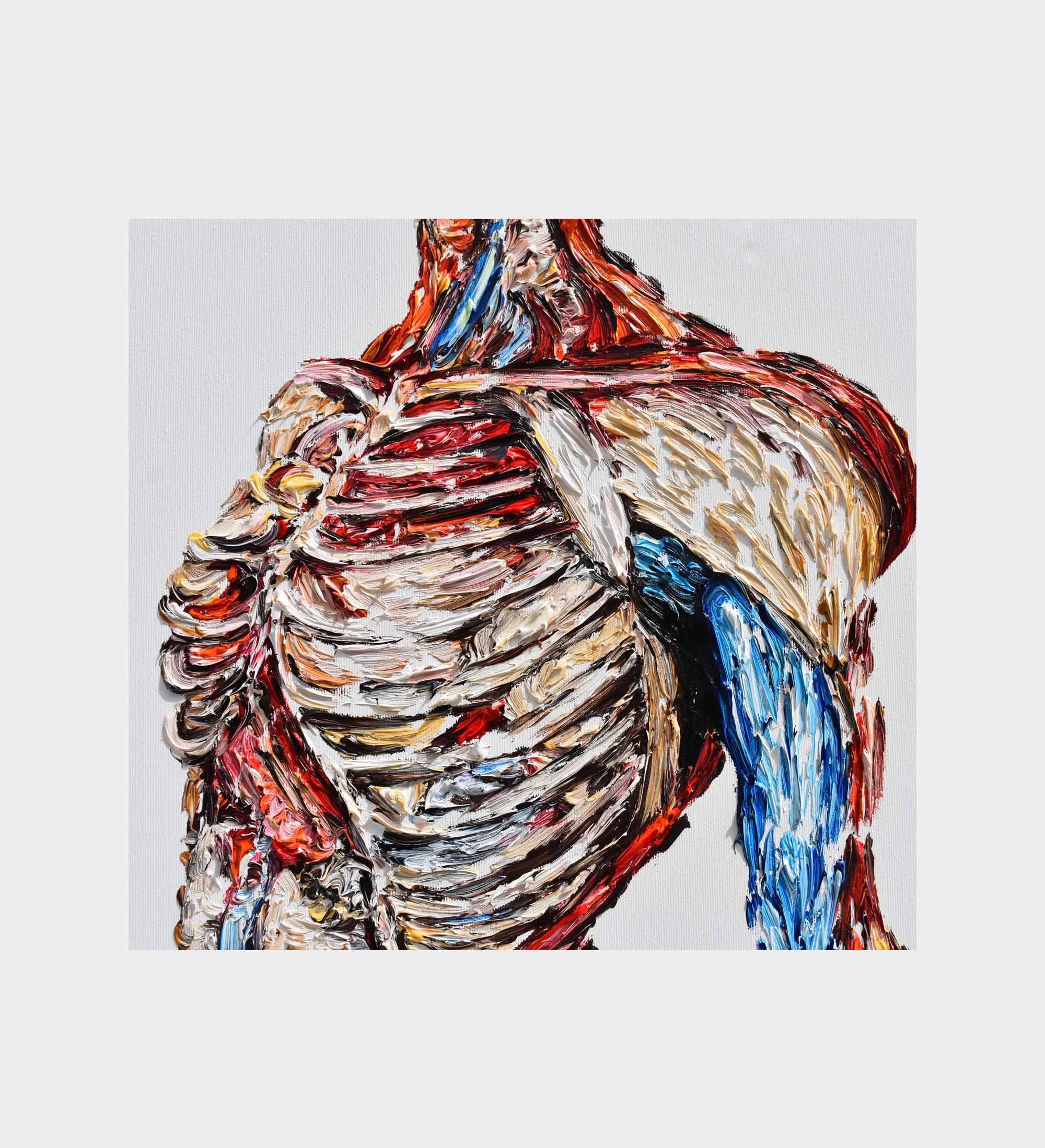 Vascular System Body 40