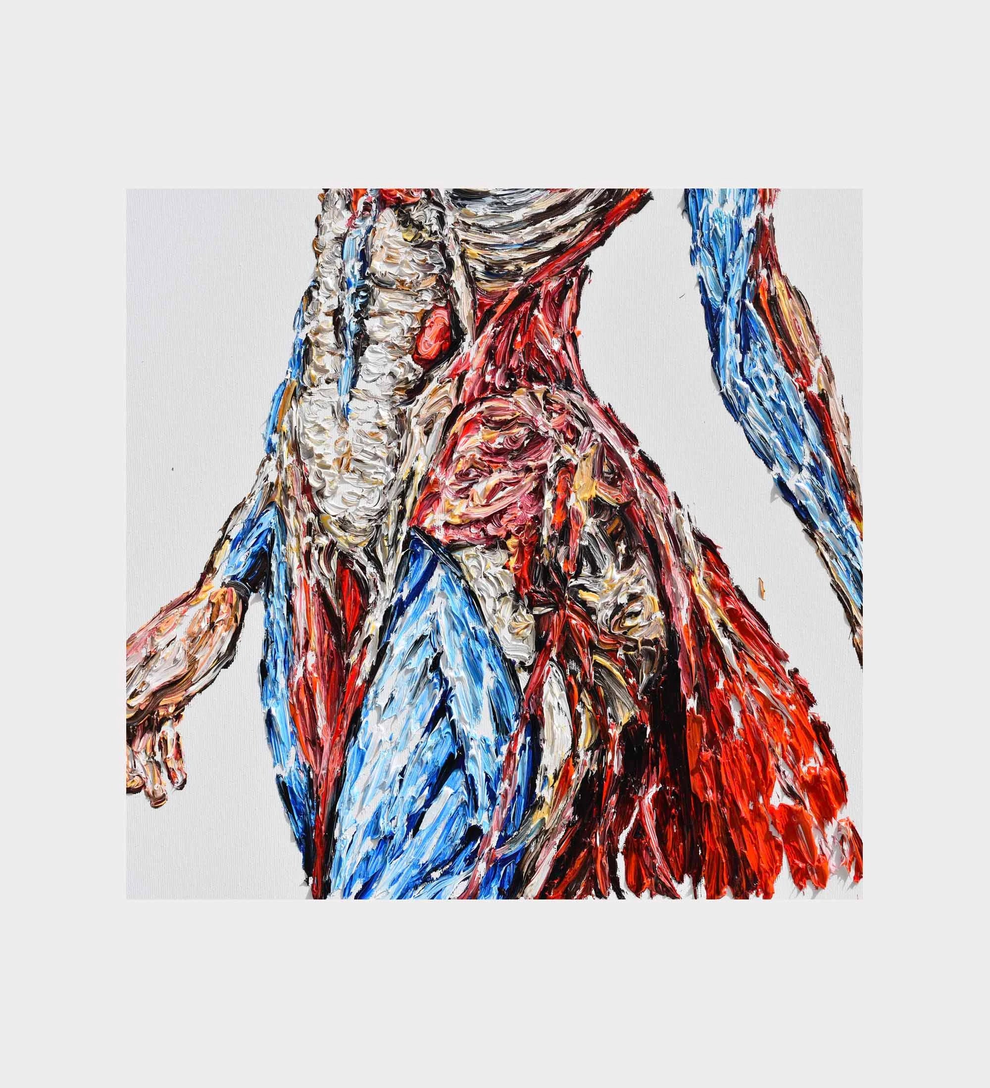Vascular System Body 40