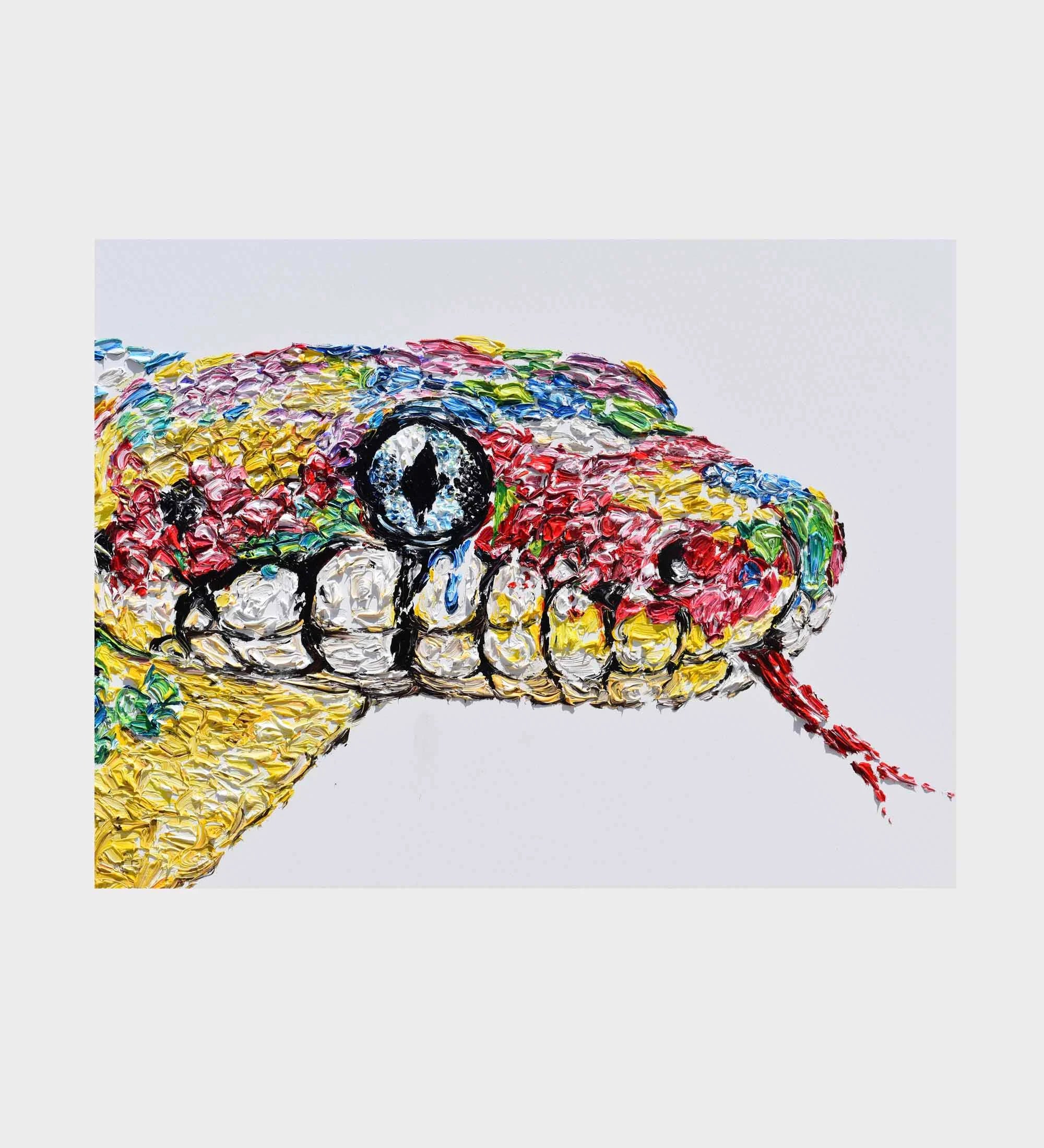 Diamondback Rattlesnake 48